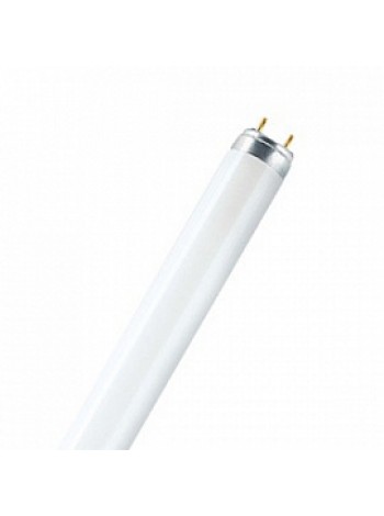 Лампа ЛЛ 36Вт L 36W/840-1 PLUS ECO T8 G13 холодная-белая (Германия) 4050300518091 OSRAM