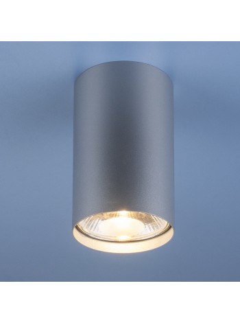 Накладной точечный светильник 6877 SL серебро Nowodvorski Elektrostandard