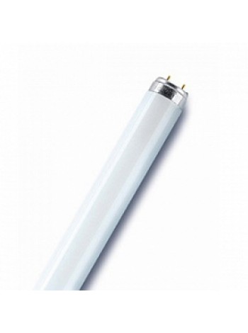 Лампа ЛЛ 15Вт L 15W/840 T8 G13 холодная-белая 4050300446004 OSRAM